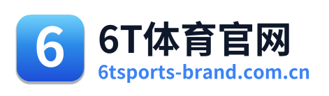 6T体育官网